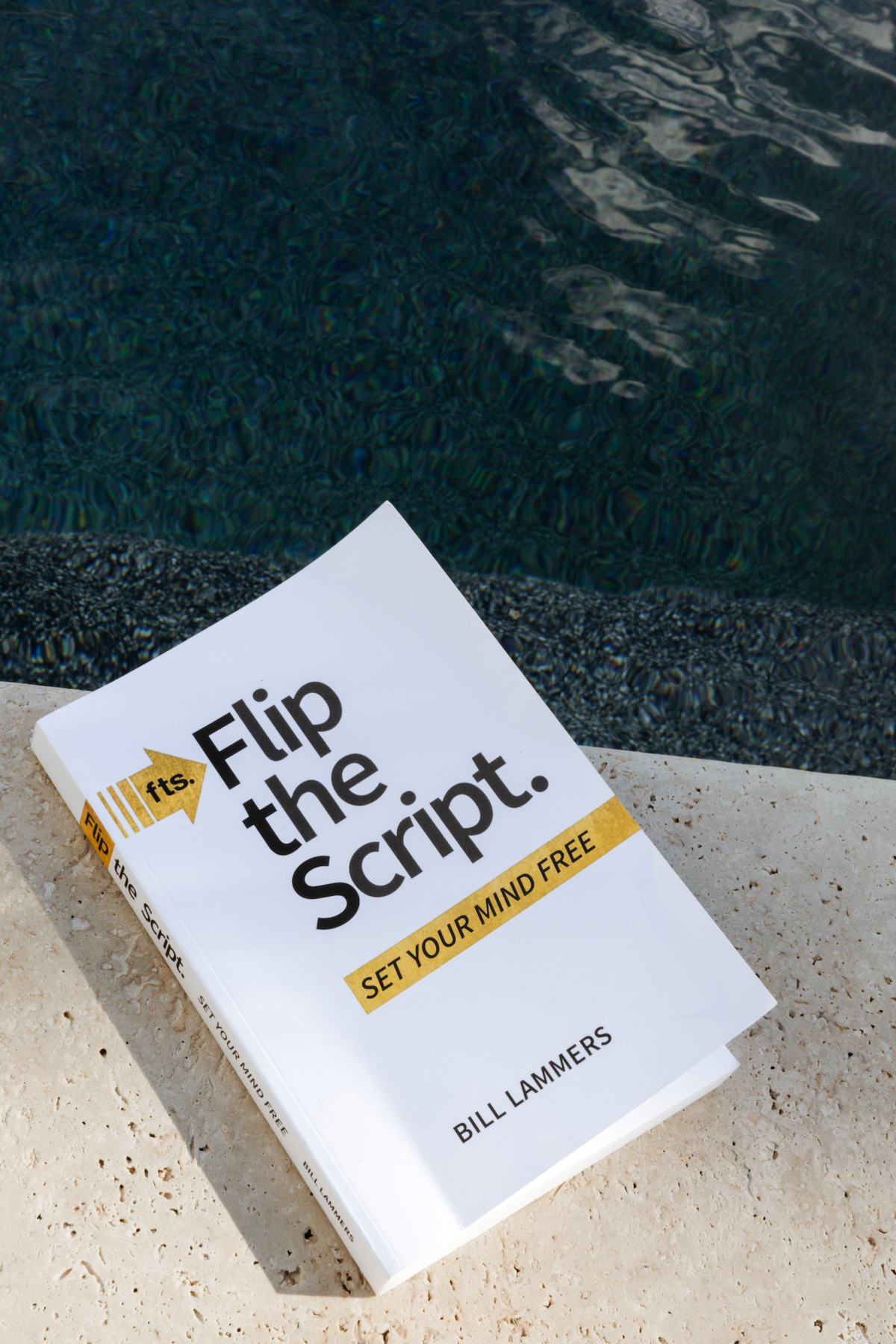 Flip the Script book by Bill Lammers